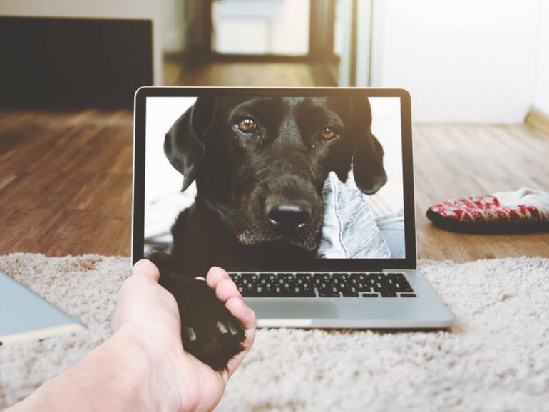 Tu veux ma photo ? (Ou comment utiliser légalement des images)